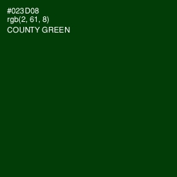 #023D08 - County Green Color Image